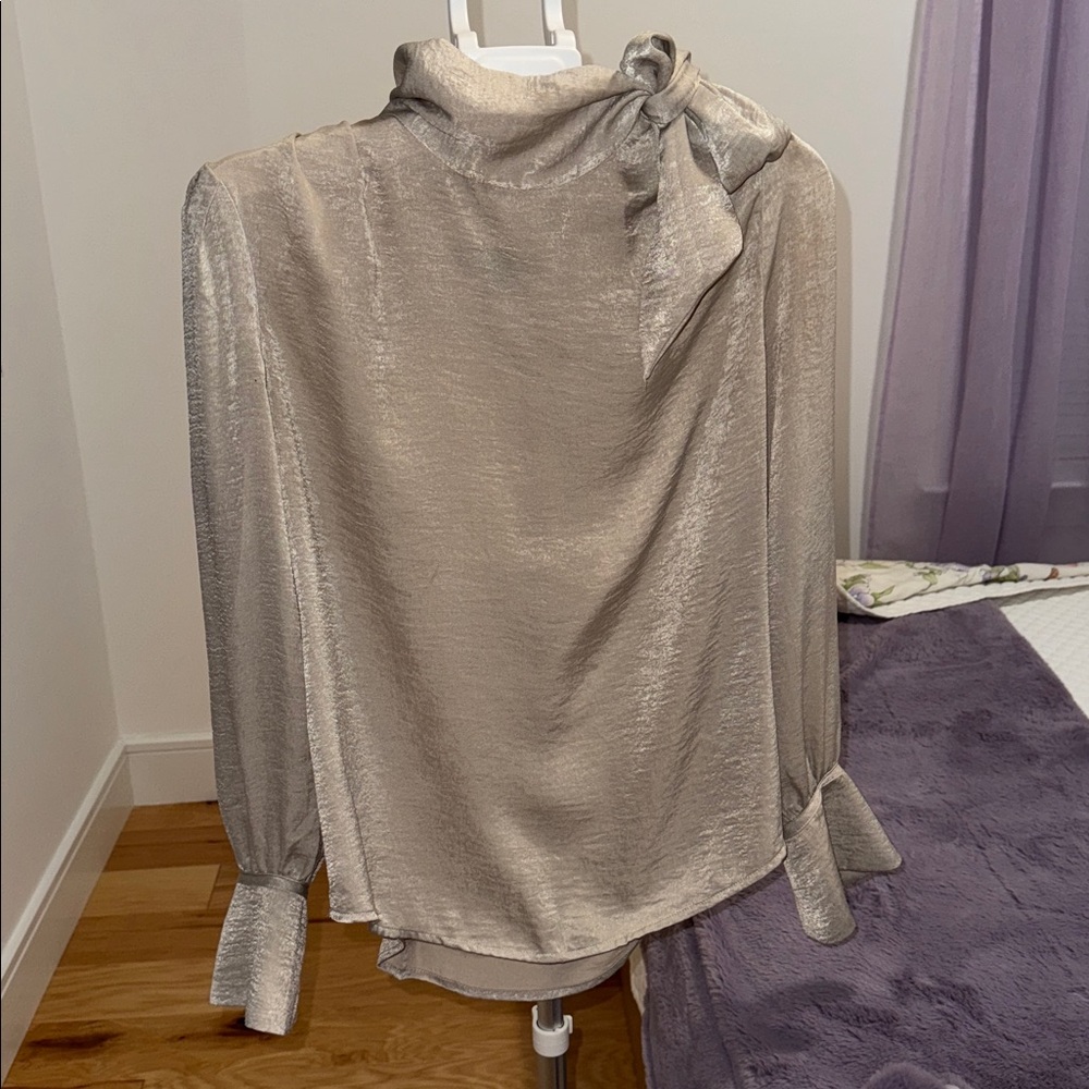Silver blouse